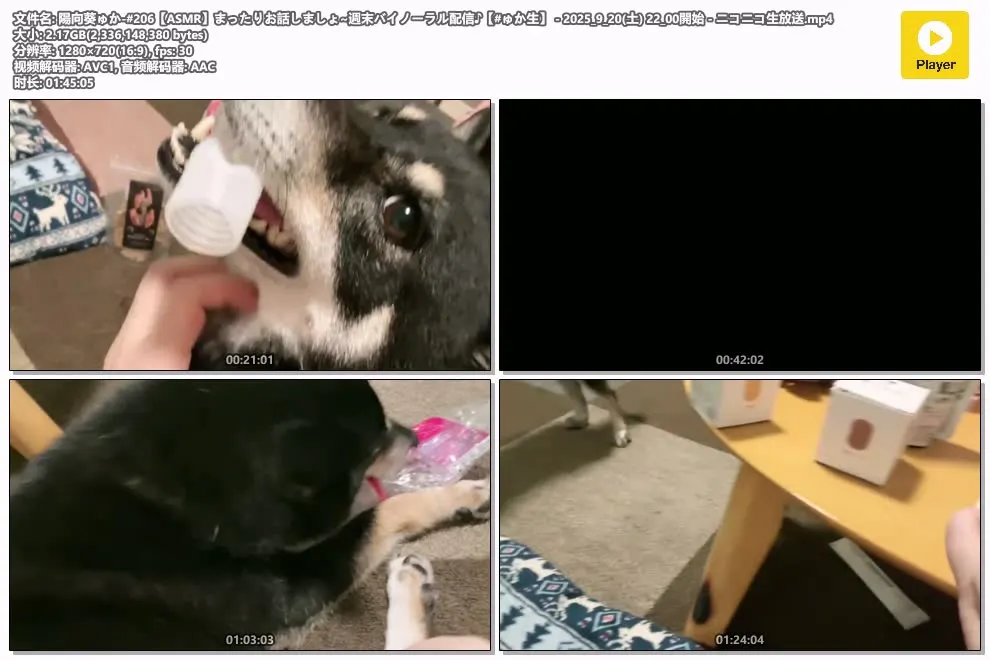 陽向葵ゅか ASMR直播 #206 | 周末双耳放松聊天 | niconico | 2025-09-20 (图1)