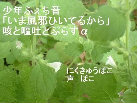 [RJ136923] 少年恋声癖：我现在感冒了 咳嗽与呕吐及其他 (图1)