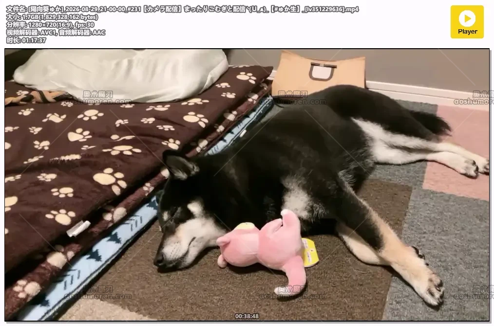 [陽向葵ゅか]_2026-08-29_21-00-00_[lv351229636].mp4.webp