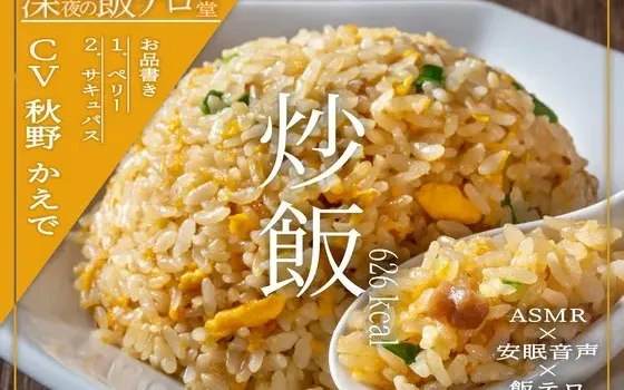 [RJ01320590] [繁中] 【深夜异世界 深夜放毒食堂】炒饭