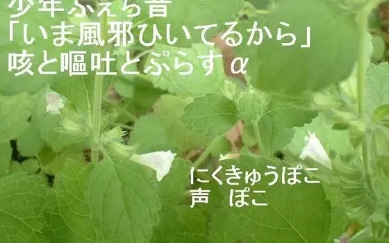 [RJ136923] 少年恋声癖：我现在感冒了 咳嗽与呕吐及其他